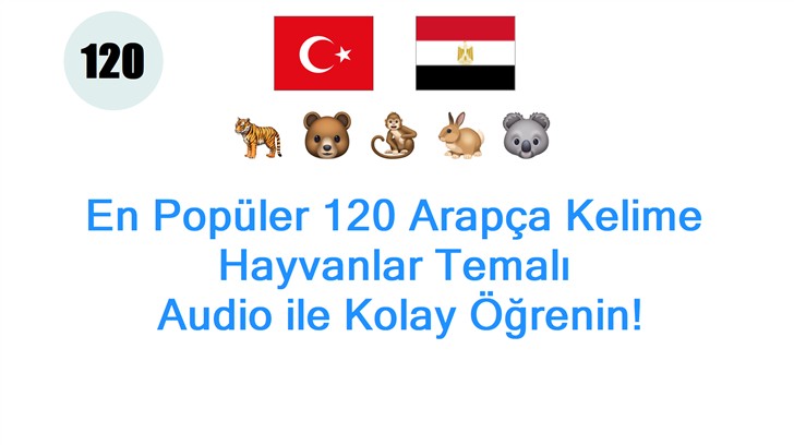 En Popüler 120 Arapça Kelime Hayvanlar Temalı: Audio ile Kolay Öğrenin!